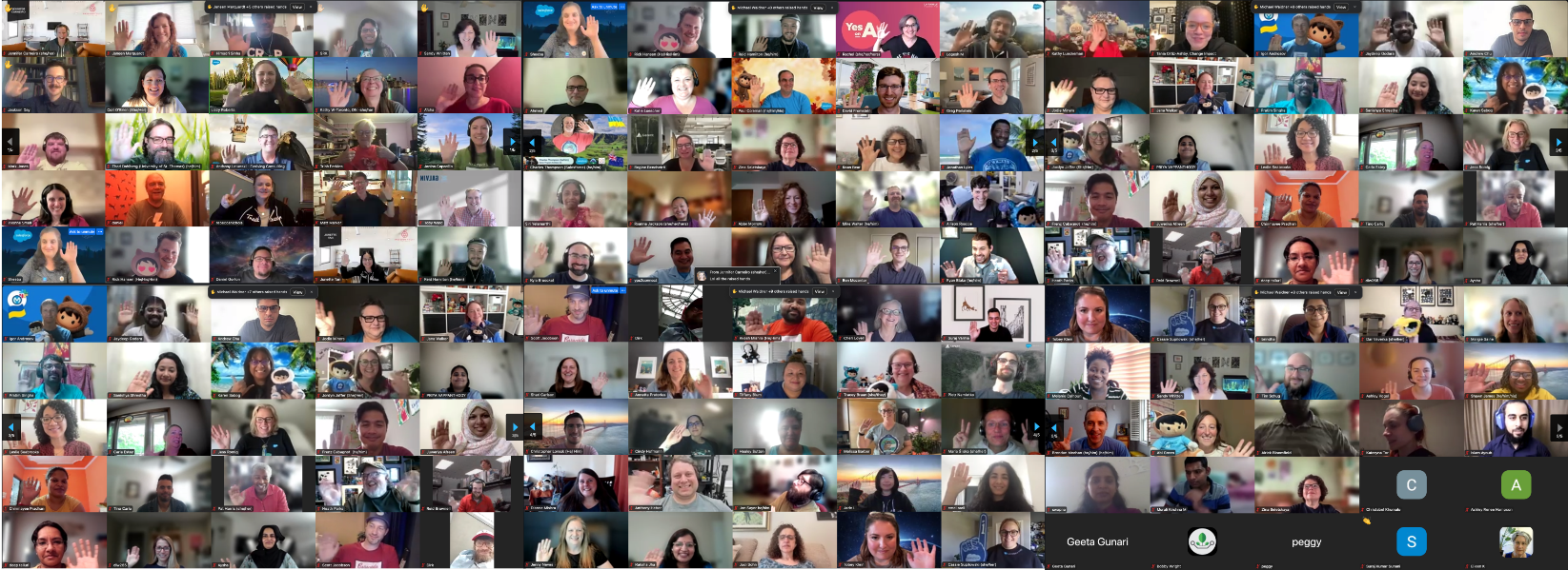 Full Group Picture of the Virtual Sprint attendees, Sept 2024