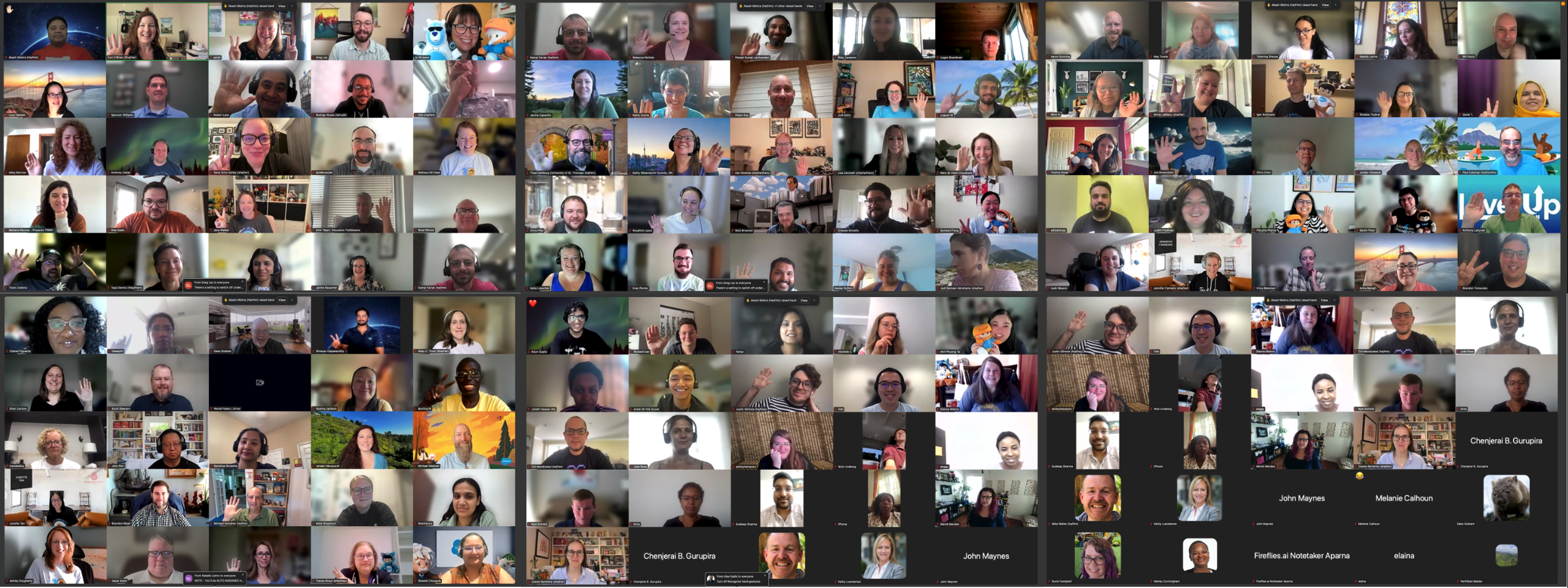 Group Photo! Virtual Sprint, July 2025.